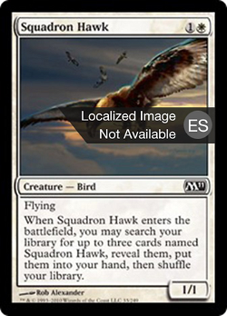Squadron Hawk image