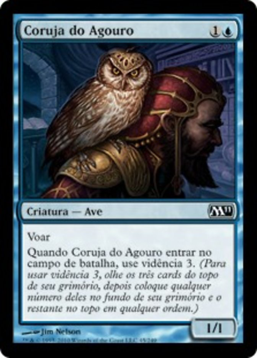 Augury Owl Full hd image