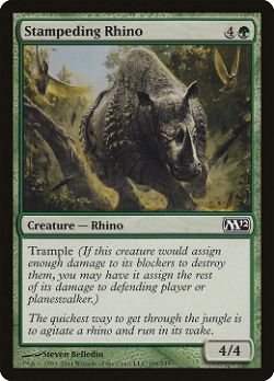 Stampeding Rhino image