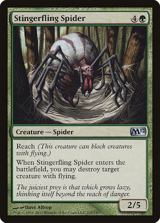 Stingerfling Spider image