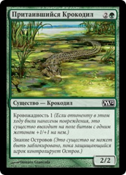 Притаившийся Крокодил image