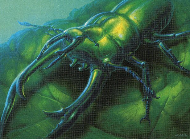 Bond Beetle Crop image Wallpaper