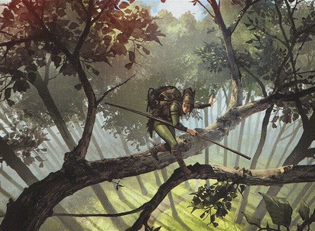 Ranger's Path Crop image Wallpaper