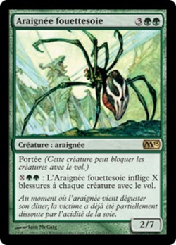 Araignée fouettesoie