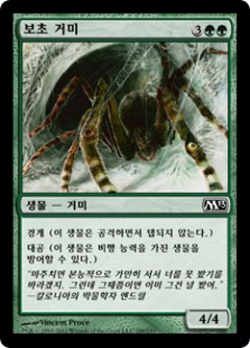 보초 거미 image