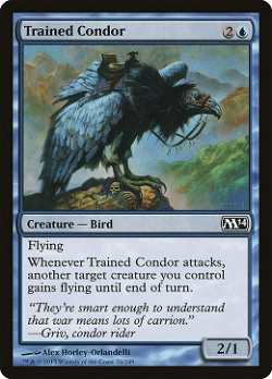 Trained Condor image