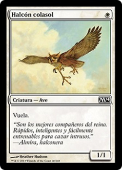 Suntail Hawk image