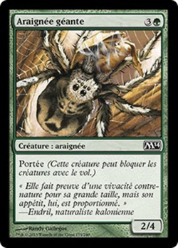 Araignée géante