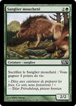 Sanglier moucheté