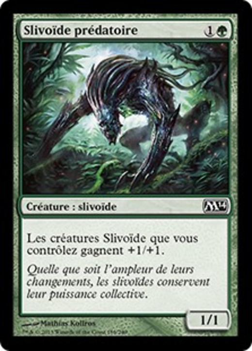 Predatory Sliver Full hd image