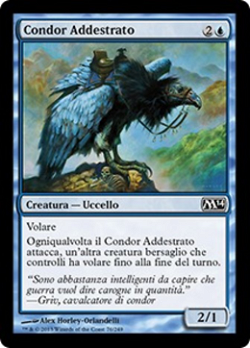 Condor Addestrato image