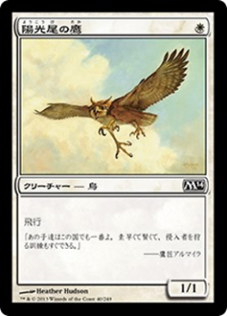 陽光尾の鷹 image