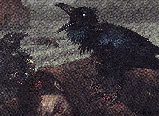Carrion Crow Crop image Wallpaper