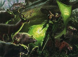 Paragon of Eternal Wilds image