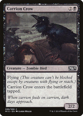 Carrion Crow image