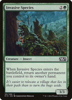 Invasive Species image