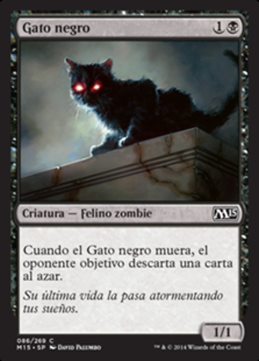 Gato negro image
