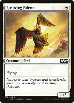 Rustwing Falcon image