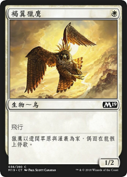 Rustwing Falcon image