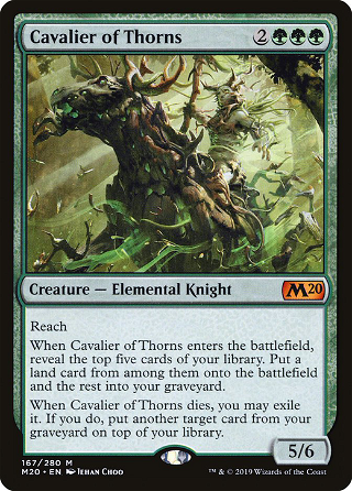 Cavalier of Thorns image