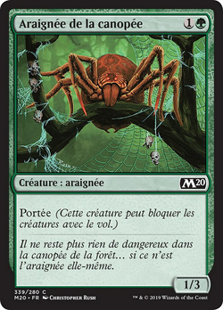 Araignée de la canopée