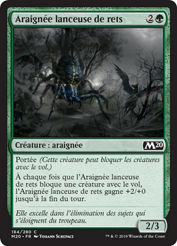 Araignée lanceuse de rets