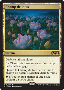 Champ de lotus image