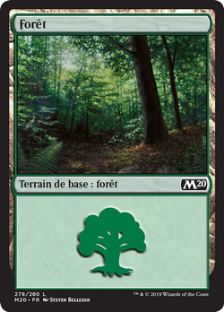 Forêt