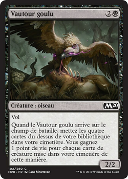 Vautour goulu