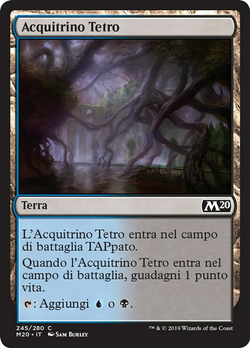 Acquitrino Tetro