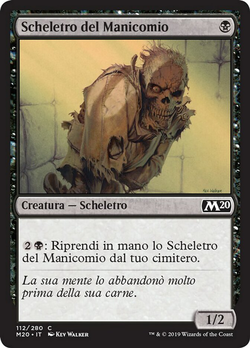 Scheletro del Manicomio