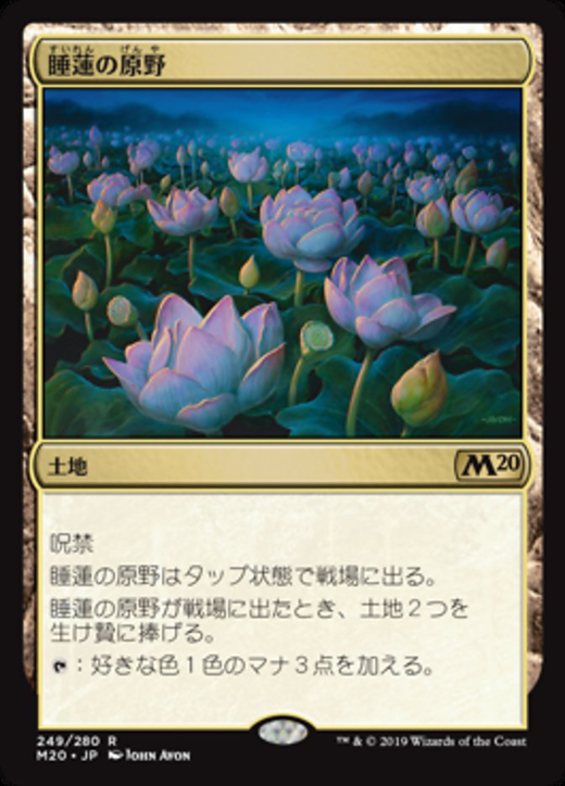 Lotus Field Full hd image
