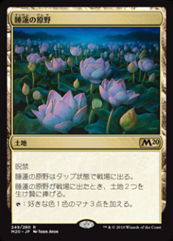 Lotus Field image
