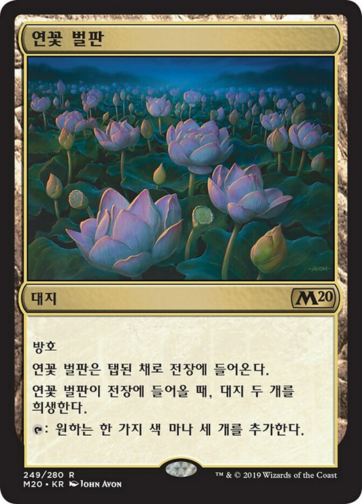 Lotus Field Full hd image