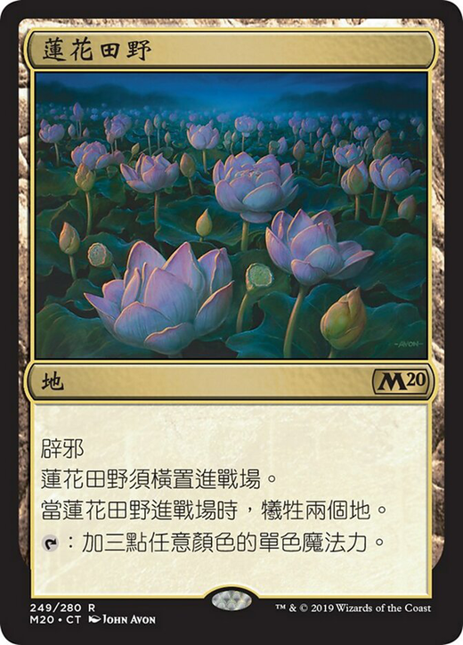 Lotus Field Full hd image