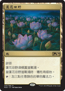 Lotus Field image