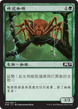 林冠蜘蛛 image