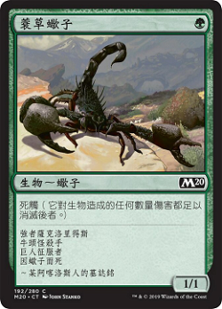 Sedge Scorpion image