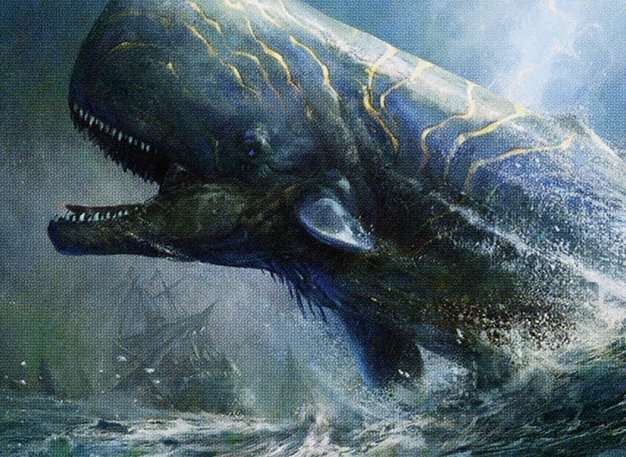 Pursued Whale Crop image Wallpaper