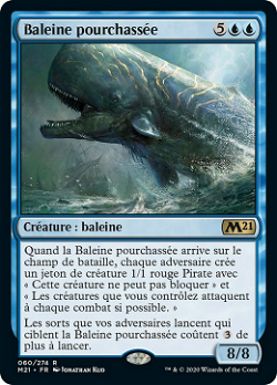 Baleine pourchassée image