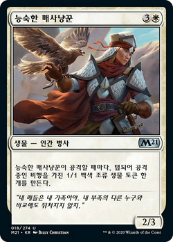 Falconer Adept image