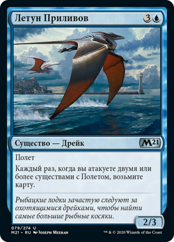 Tide Skimmer image