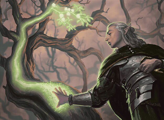 Elvish Rejuvenator Crop image Wallpaper