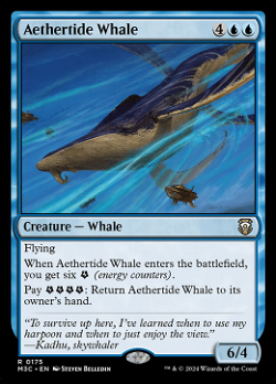 에테르조류 고래