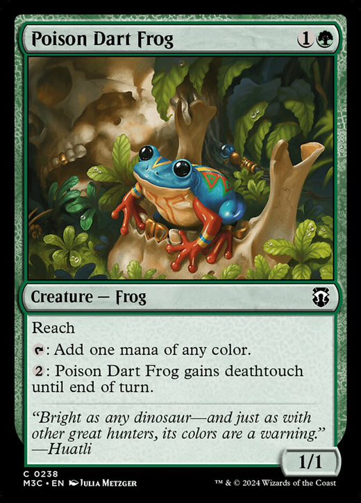 Poison Dart Frog Full hd image