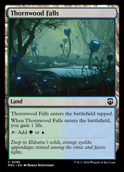 Thornwood Falls image