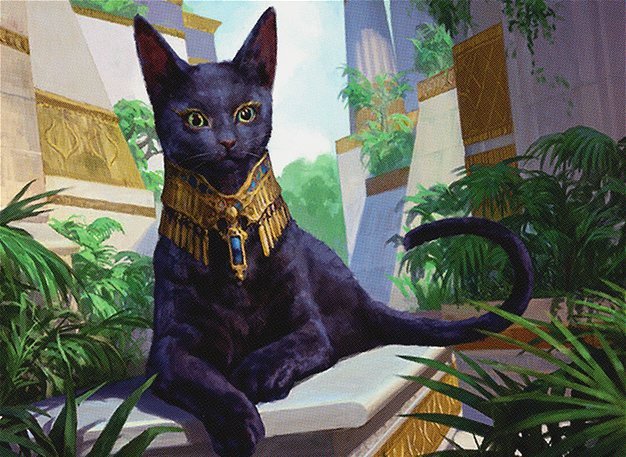 Sacred Cat Crop image Wallpaper