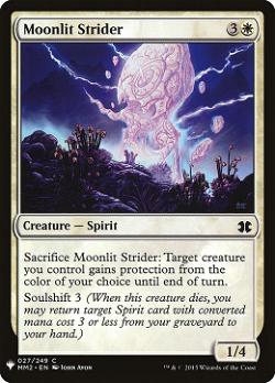 Moonlit Strider image