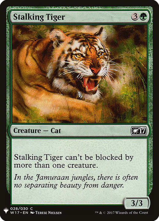 Stalking Tiger image