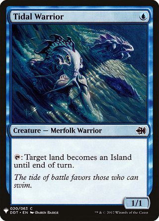 Tidal Warrior image